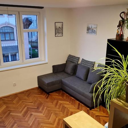 Kousek Do Prirody I Do Centra Apartment Pisek  Luaran gambar