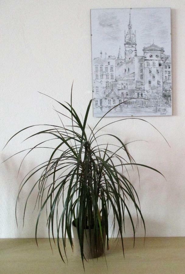 Kousek Do Prirody I Do Centra Apartment Pisek  Luaran gambar