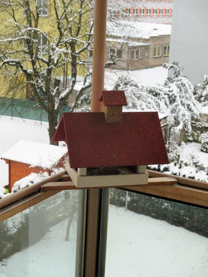 Kousek Do Prirody I Do Centra Apartment Pisek  Luaran gambar