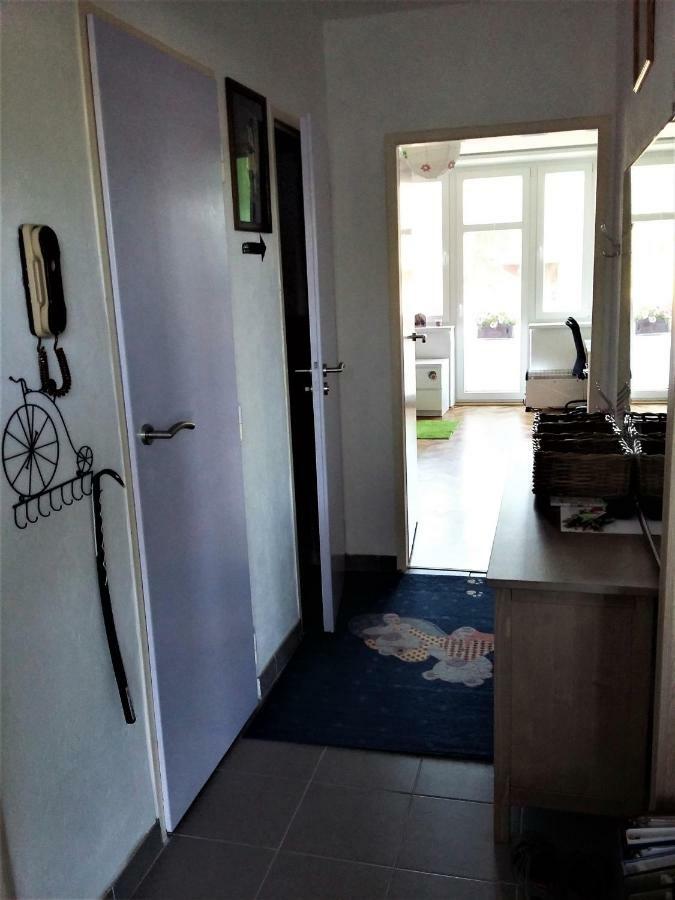 Kousek Do Prirody I Do Centra Apartment Pisek  Luaran gambar