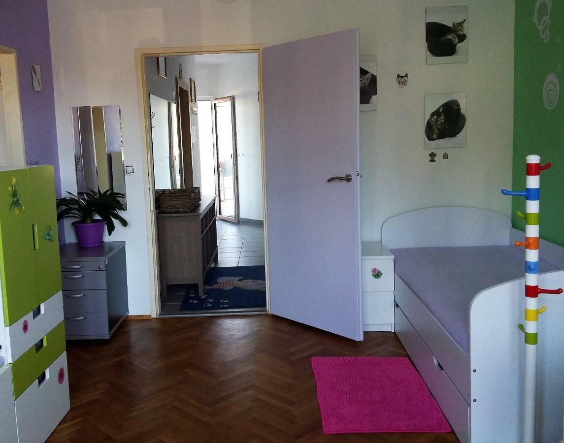 Kousek Do Prirody I Do Centra Apartment Pisek  Luaran gambar